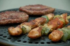 Cobb Premier+ Gas Gasbarbecue - Grijs -Campingserie Winkel 1263 1900 dsc 0474