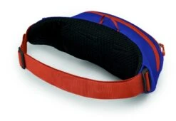 Osprey Daylite Heuptas - Blauw/Oranje -Campingserie Winkel 1900 1425 daylitewaist s23 sideback silverliningblueberry 10005144