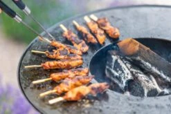 RedFire ONYX Classic Vuurschaal Bbq - 80 Cm -Campingserie Winkel 85208 lifestyle 06 1