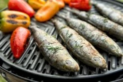 CADAC Grillo Chef 40 Gasbarbecue - BBQ 21 CADAC Grillo Chef 40 Gasbarbecue - BBQ -Campingserie Winkel 900 1348 grillo chef 40 bbq grid 1