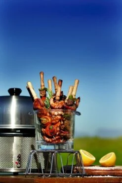 Cobb Premier Houtskoolbarbecue - Grijs -Campingserie Winkel cobb premier 3 2