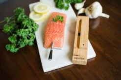 MEATER Plus Draadloze Thermometer -Campingserie Winkel lm23447 1