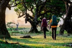 Osprey Renn Backpack - 50 Liter - Paars 27 Osprey Renn Backpack - 50 Liter - Paars -Campingserie Winkel osprey rennrook 4